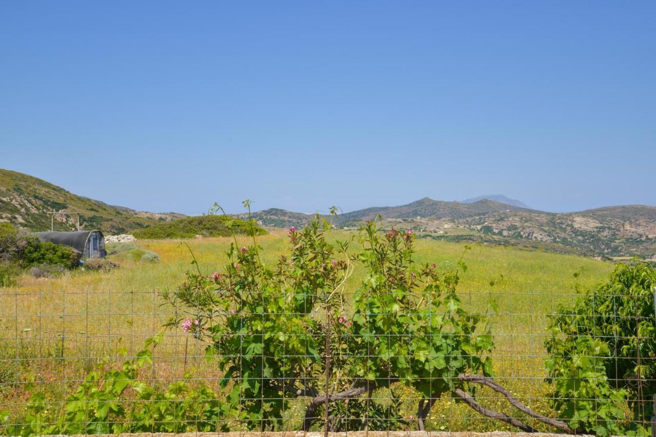 Xalakas Summer House Embourios  المظهر الخارجي الصورة